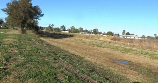 Walk around Cambooya, Husky girl really wants a horse Pt ...