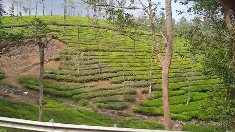 beautiful place in india kerala