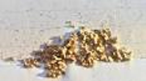 Adventure: Panning for Gold - Goldrush Paydirt with 2 gra...