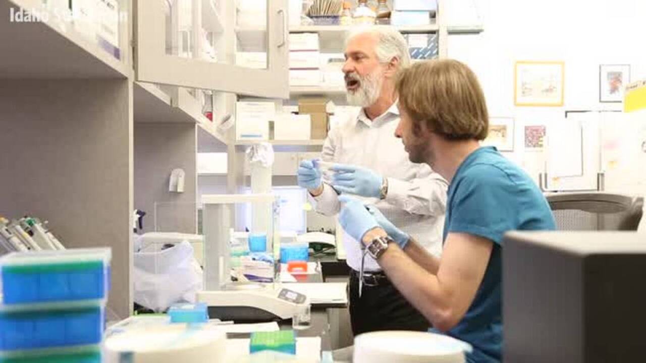 Idaho Innocence Project receives 630,000 grant to test DNA Idaho