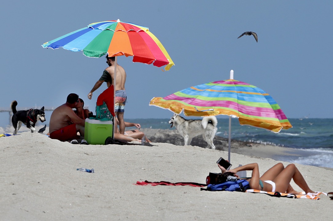 Haulover Beach reopens after moderate levels of red tide detected The