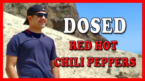 DOSED- Red Hot Chili Peppers | - (COVER) 