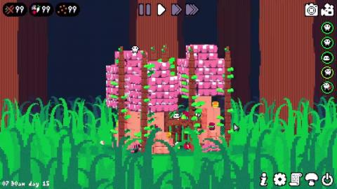 Shroomchitect Builds