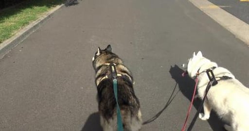 I got a card from Aunt Clare, & saw a very rare Tesla, ye...