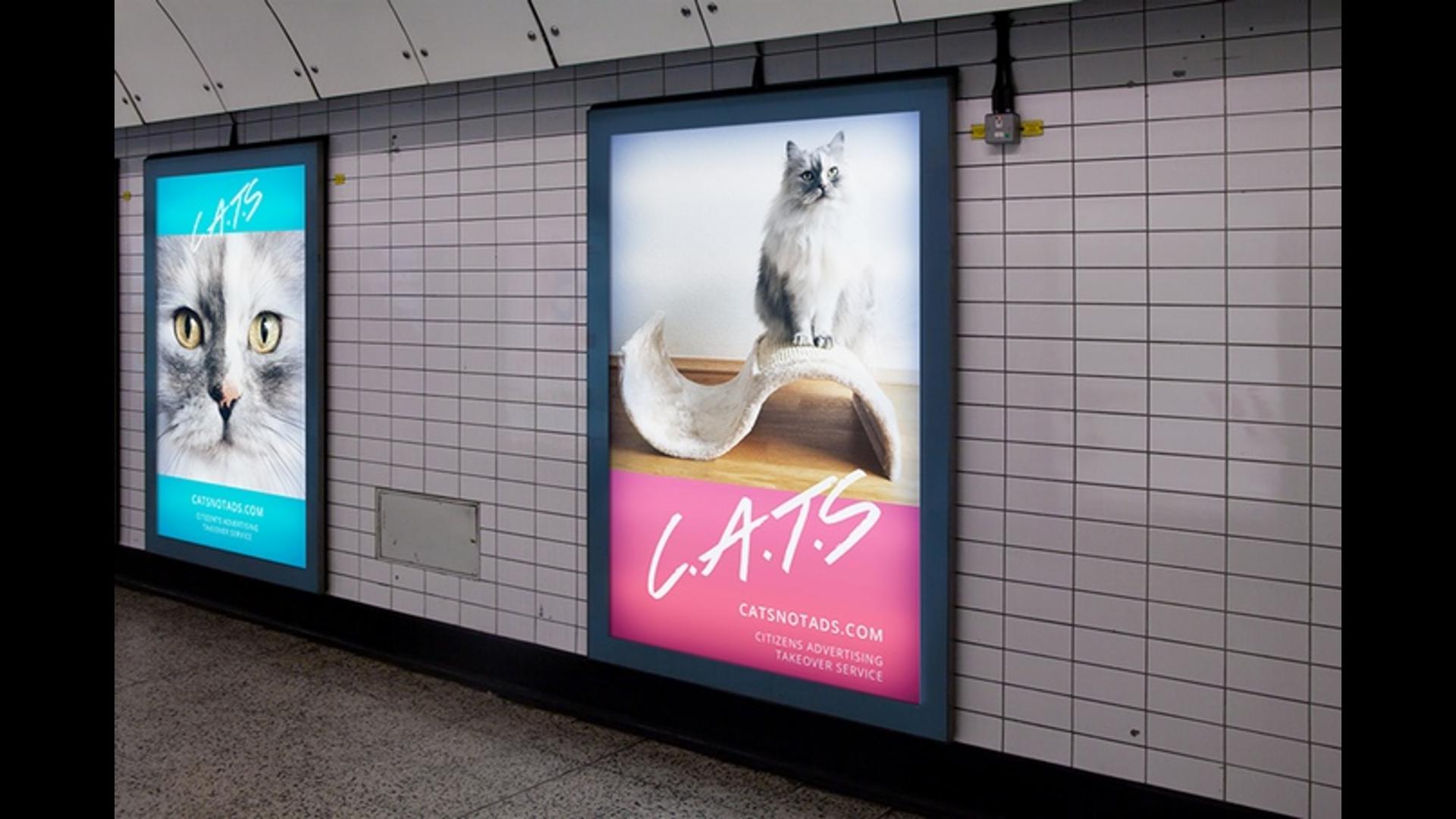 London 2025 underground cats