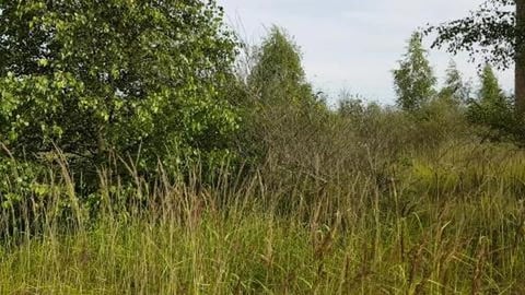 ABANDONED BRICK FACTORY