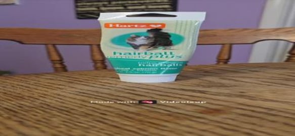 Harley's Hairball Routine #cat #kitten #petcare #hairball...
