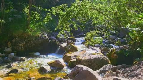 River Serenade- Dancing Light, Gentle Water, and Nature's...