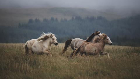 Mix Music: #8 – (Cinematic Inspiration)