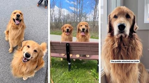 I Just Get Too Darn Hot!