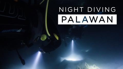 Night Dive in Palawan & Feeding Fish with Bacon - Philipp...
