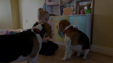 How our Child Loves Her Dogs