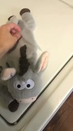 Accidentally Broke My Dog's Favorite Toy