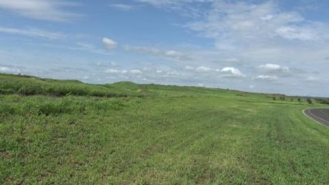 Walk around Wellcamp Airport with a Malamute & Husky