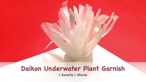 Daikon Underwater Plant Garnish / Food Decoration