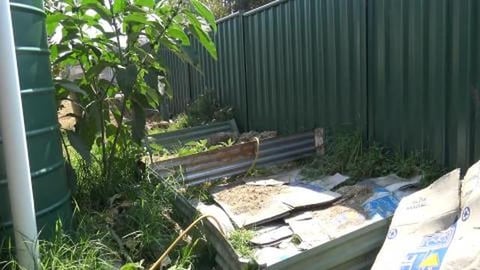 Planting out the veggie patch & treat for Husky's