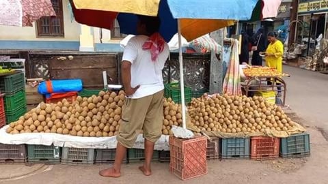 Fruit Seller Selling Sapota/Chikoo | Udupi | Karnataka
