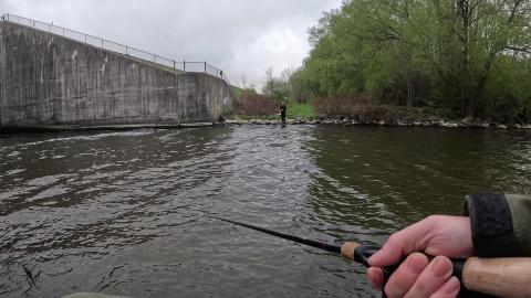 Was Fishing a Glidebai then this Happened