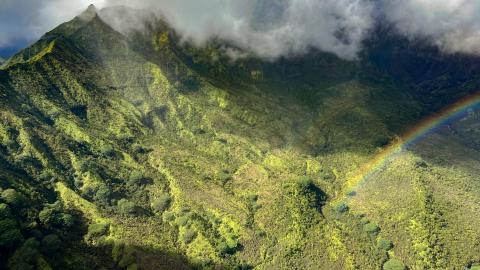 Sunrise Sunrise - Kauai, Hawaii
