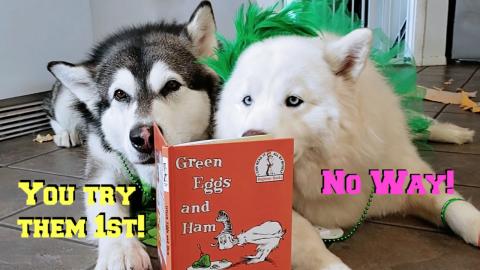 Malamute & Husky Ask To Eat Green Eggs & Ham! 