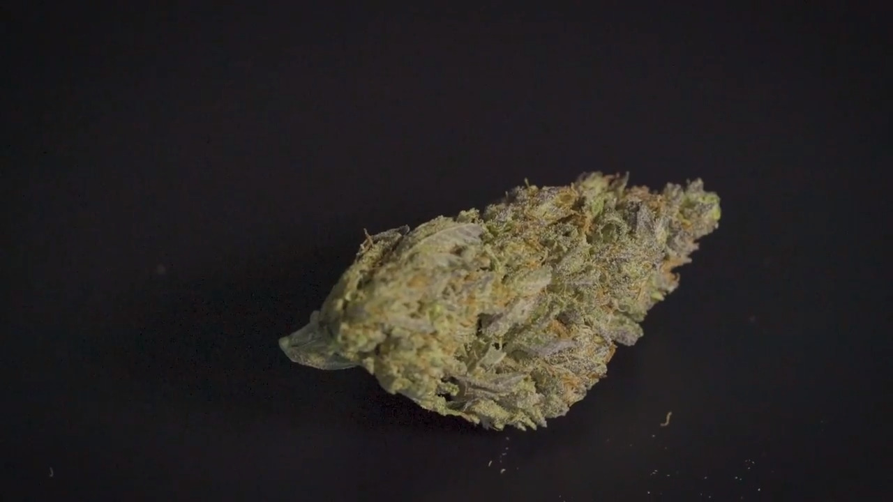 Strain of marijuana named after royal bride Meghan Markle The Kansas