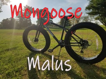 Mongoose Malus Fat Tire Mountain Bike