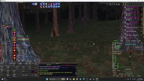 Everquest : Poacher's Head