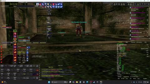 Everquest : Seeing Double, The Drunken Buccaneer