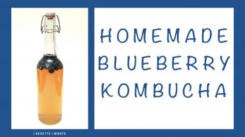 Homemade Blueberry Kombucha / Healthy & Refreshing Drink ...