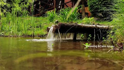 Relaxing Zen with Water Sounds, Peaceful Yoga and Music,S...