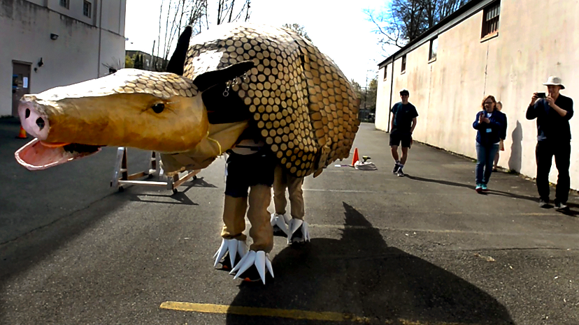 Procession parade goers beware!! Giant Armadillo is on the loose this weekend