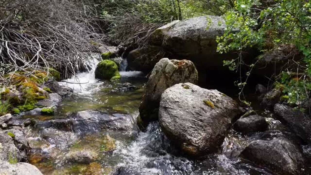 Avimor's Spring Valley Creek Trail Idaho Statesman