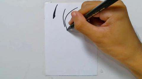 Drawing tatto v25 2024 shorts