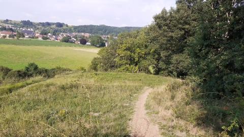 nature walk 