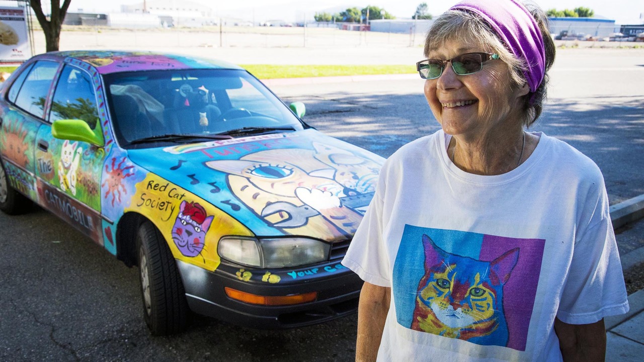 This self-proclaimed crazy cat lady drives a hand-painted Catmobile to ...