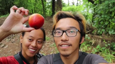 The hidden waterfall of New Zealand!