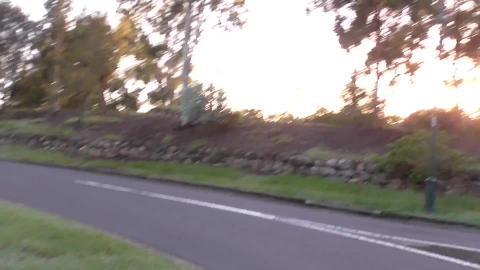 Lovely sunrise with Malamute & Husky