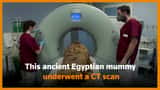 Italian hospital uses CT scan on an Egyptian mummy