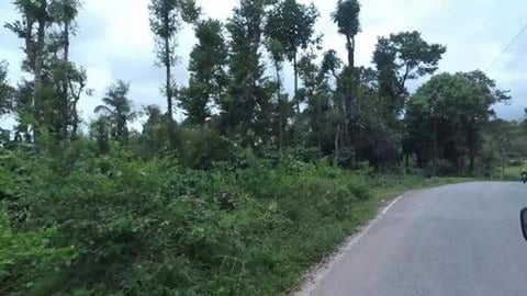 Countryside | Outskirts of Sakleshpur | Karnataka 