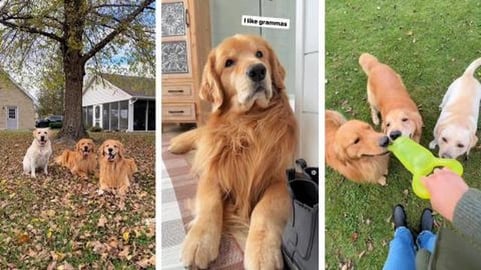 A Play Day at Great Grandma's?!