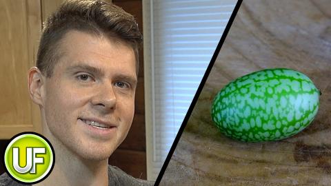 Cucamelon - Unusual Foods