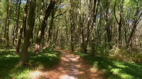 Relax videos HD images of nature