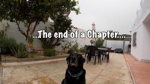 Percy the Black Labrador Moving House