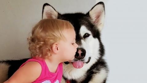 Sassy 2 Year Old Says The Funniest Thing | Try Not To Lau...