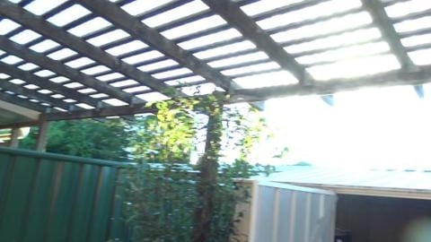 Huskies have a delicious healthy breakfast