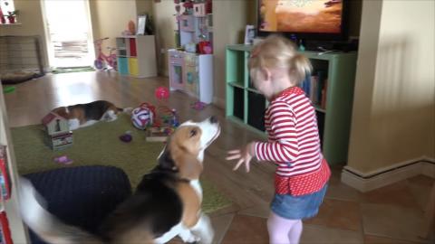 Little Girl Playing with Her Puppy
