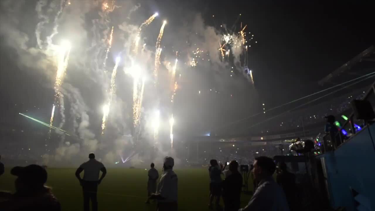 Panthers Fan Fest will return to Bank of America Stadium in August - CLTure