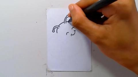 Drawing cute honey bee hugg shorts