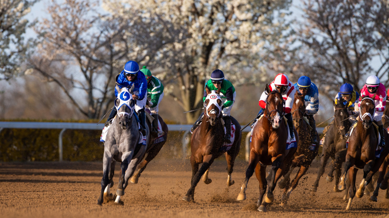 Kentucky Derby leaderboard, prep race results and schedule Lexington