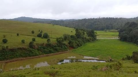 Rain Drenched Hethur Grassland | Karnataka